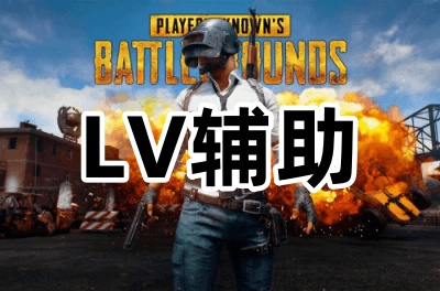 绝地求生L1辅助