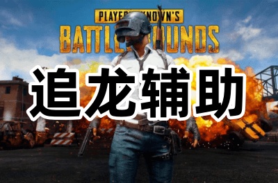 绝地求生追龙（原ASR）辅助