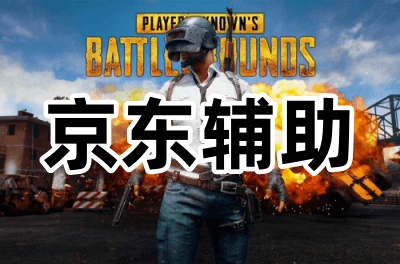 绝地求生京东辅助